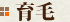 育毛